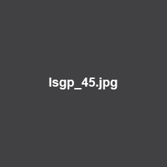 lsgp_45.jpg