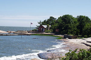 Picture1 (2).jpg
